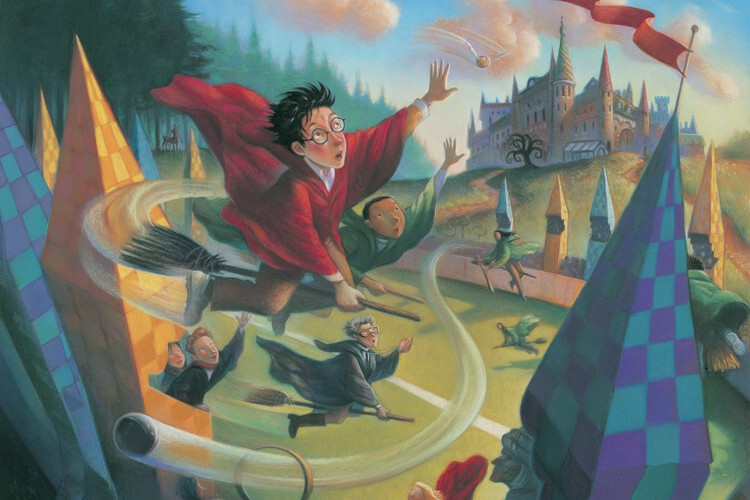 Harry Potter - Quidditch Fotobehang