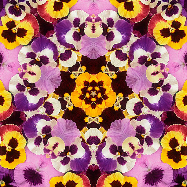 Behang Pansy Mandala