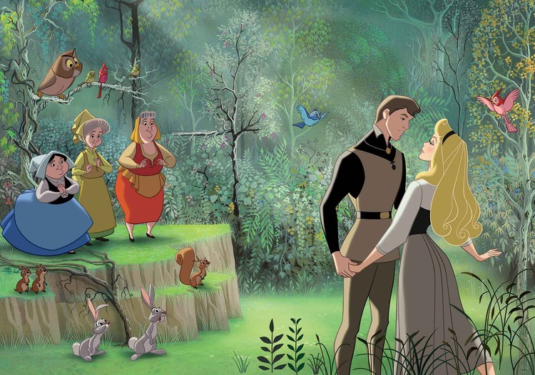 Principesse Disney La Bella Addormentata nel Bosco Fotobehang, Behang -  Bestel nu op