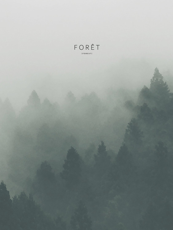Fotografia artystyczna foret2