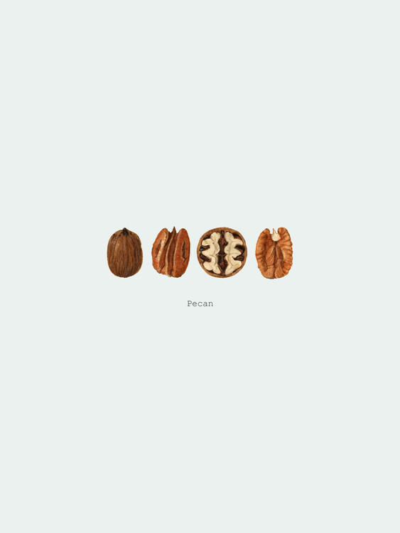 Fotografia artystyczna pecan