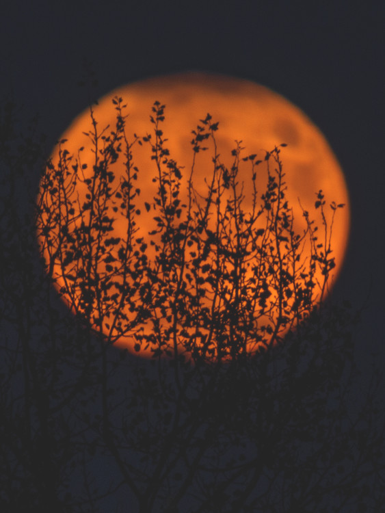 Fotografia artystyczna sunposter1