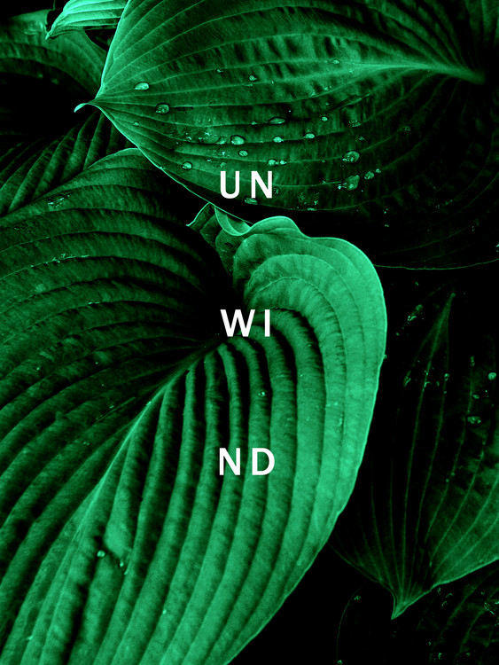 Fotografia artystyczna Unwind