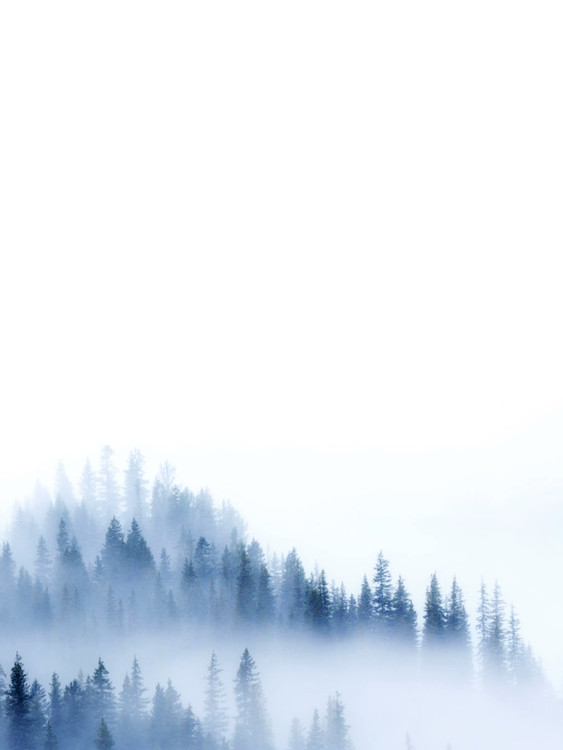 Ilustrare treeblue2