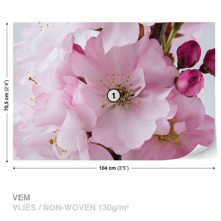 Fotomural fotomurales papel pintado naturaleza flores Rose rosas amarillo 14n1569p8