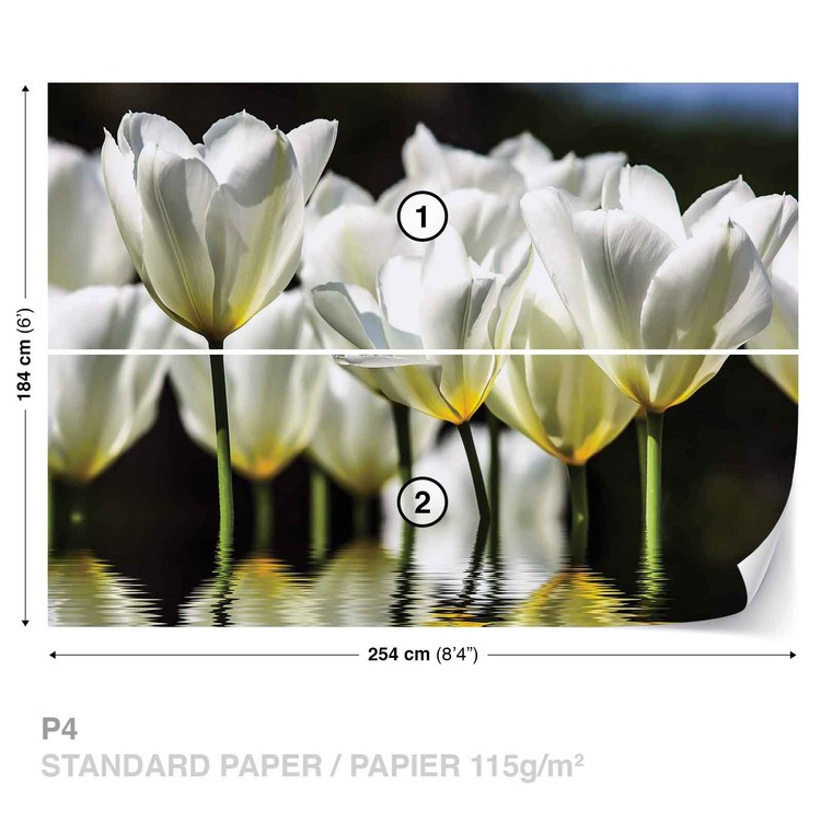 Fotomural Tulipanes de flores, Papel pintado | Posters.es