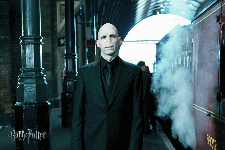 Fotomural Voldemort
