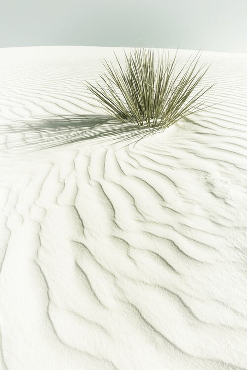 Fotomural WHITE SANDS Vintage scenery