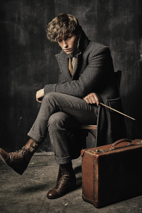 Fototapet Animale fantastice  - Newt Scamander