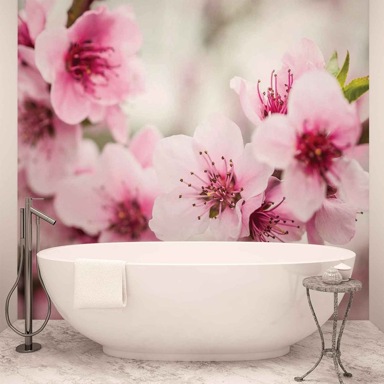 Cherry Blossom Flowers Fototapet