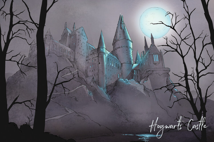 Harry Potter - Nocturnal Hogwarts Castlle Fototapet