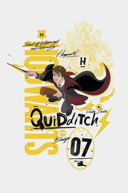 Harry Potter - Quidditch 07 Fototapet