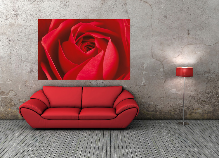 L´IMPORTANT C´EST LA ROSE Fototapet