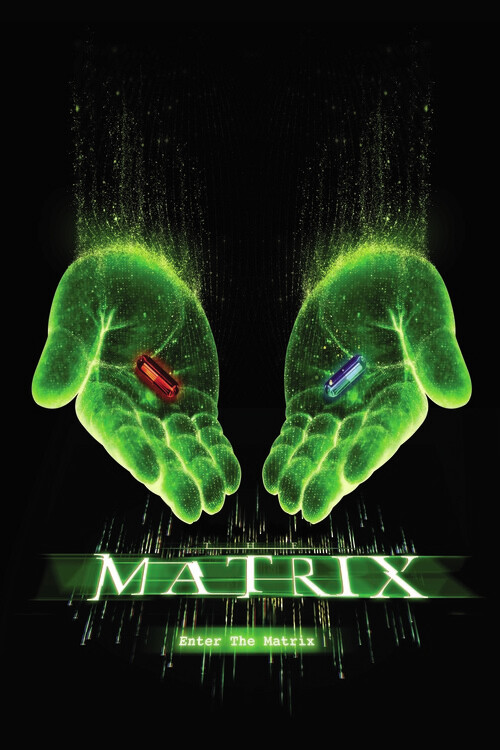 Matrix - Choose your path Fototapet