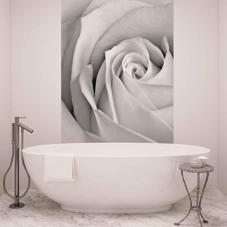 Rose Flower Fototapet