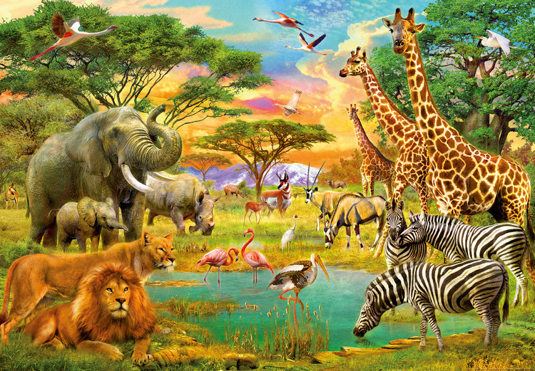 Fotótapéta Afrika állatvilága