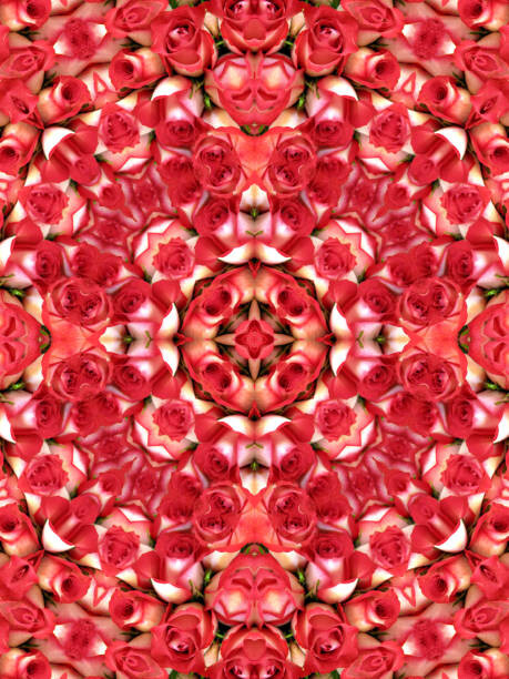 Fototapeta Kaleidoscopic pattern of red roses
