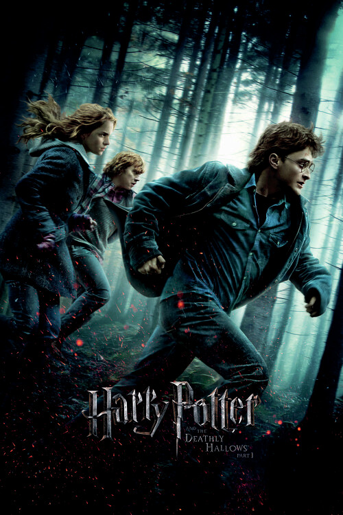 Harry Potter in Svetinje smrti Fototapeta