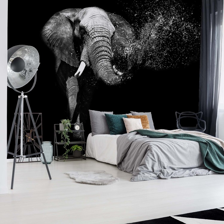 Black And White Elephant Fototapete