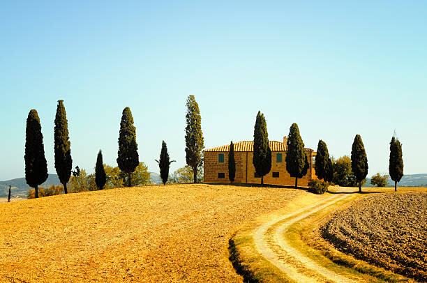 Fototapete Farmhouse and Cypress Trees