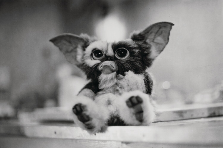 Fototapete Gremlins