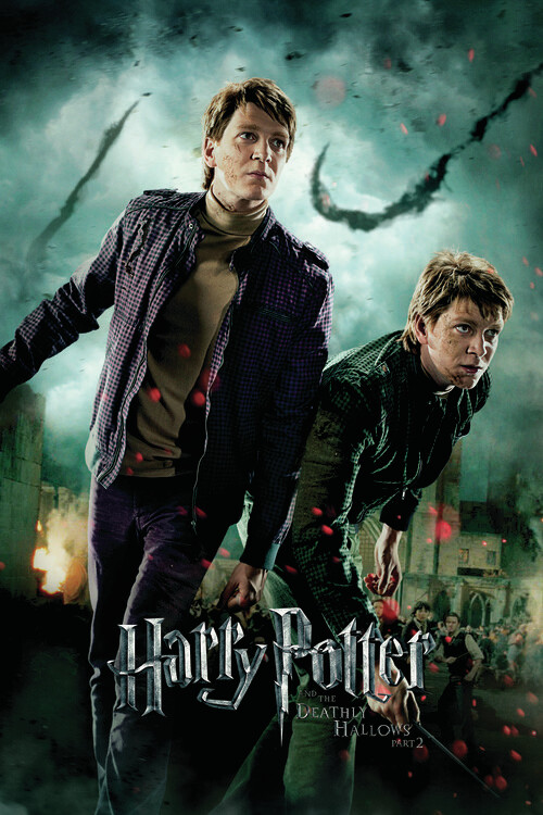 Fototapete Harry Potter - Fred and George