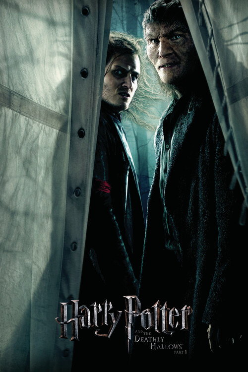 Fototapete Harry Potter - Snatchers