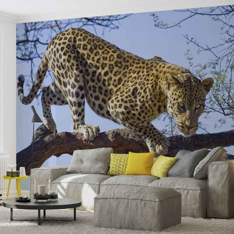 Fototapete, Tapete Leopard Baum bei EuroPosters ...