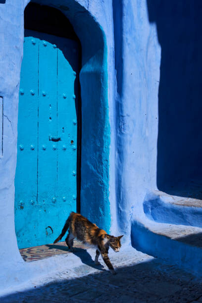 Fototapete Morocco, Chefchaouen town, the blue city,