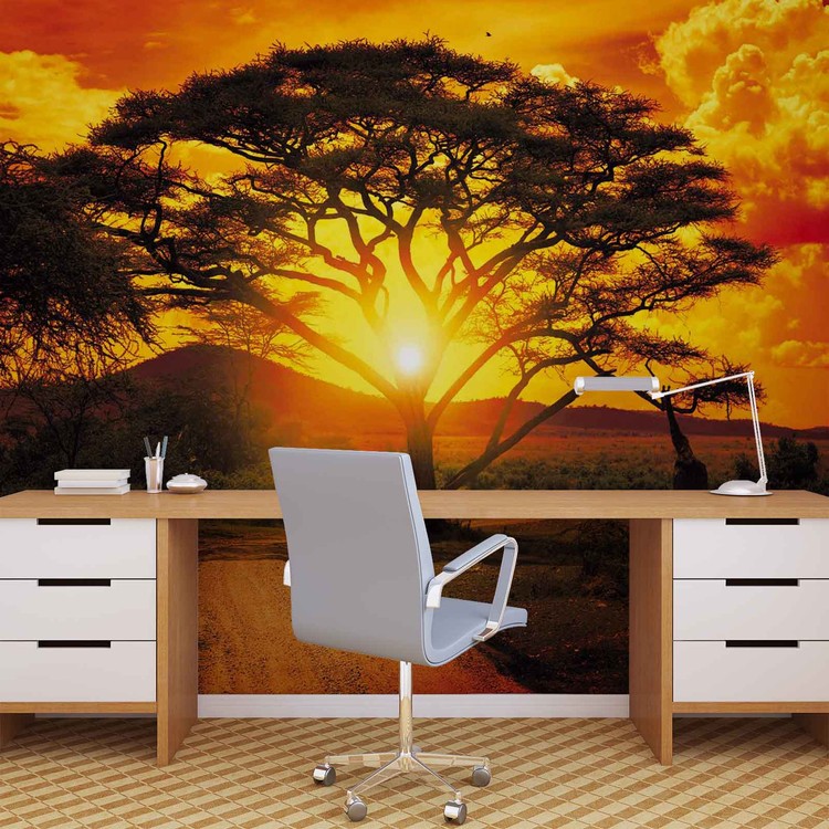 Fototapete Tapete Sonnenuntergang Afrika Natur Baum Bei Europosters Kostenloser Versand