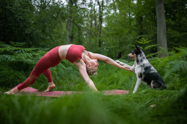 Fototapete Young woman practicing yoga in nature
