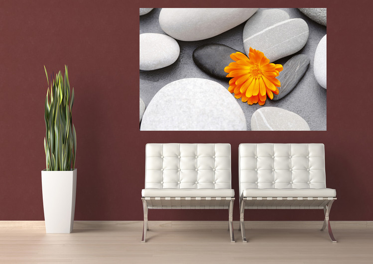 ACHIM SASS - heart among stones Fototapeta