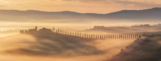 Fototapeta Aerial view of the goggy landscape