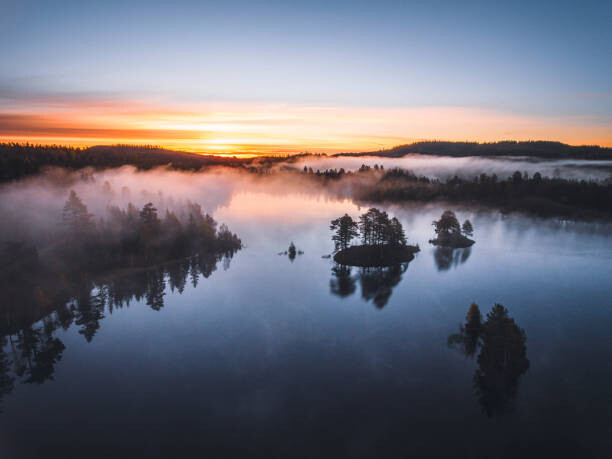 Fototapeta Aerial view - sunrise in the forest