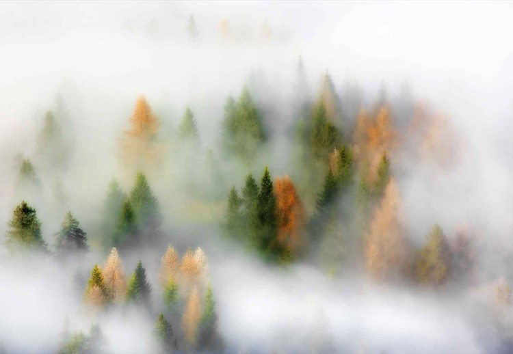 Fototapeta Autumn Dream