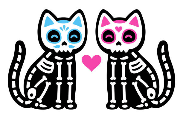 Fototapeta Black skeleton cats couple with Mexican