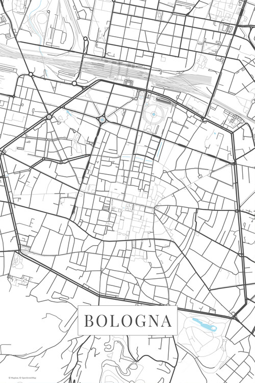 Fototapeta Bologna white