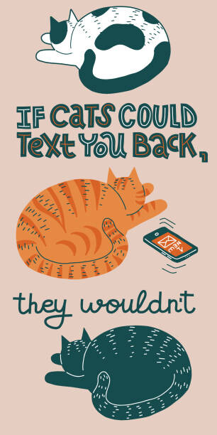 Fototapeta Cat joke, vertical banner or card