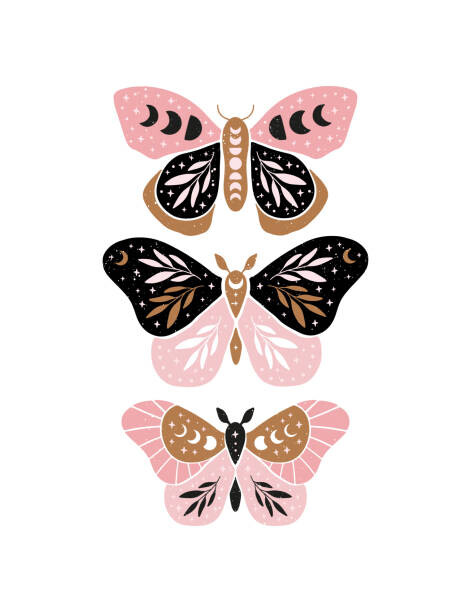 Fototapeta Celestial butterfly vector illustration.