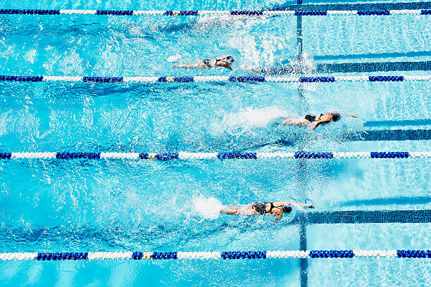 Fototapeta Competitive swimmers racing in outdoor pool