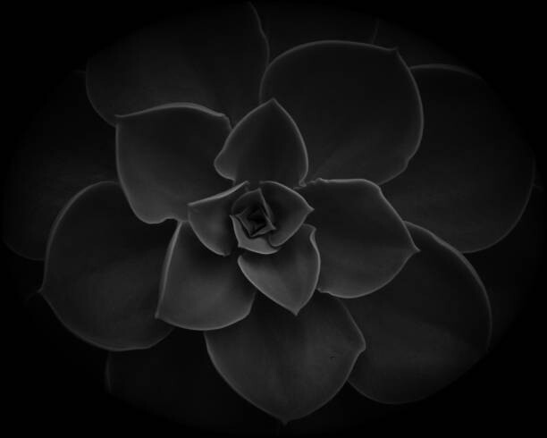 Fototapeta curves....