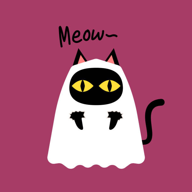 Fototapeta Cute black cat and Pumpkin head