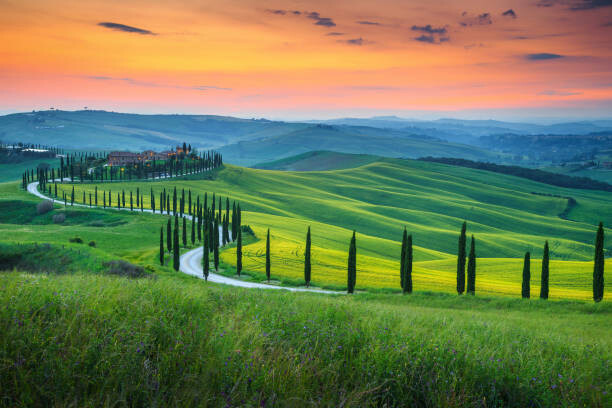 Fototapeta Famous Tuscany landscape with curved road