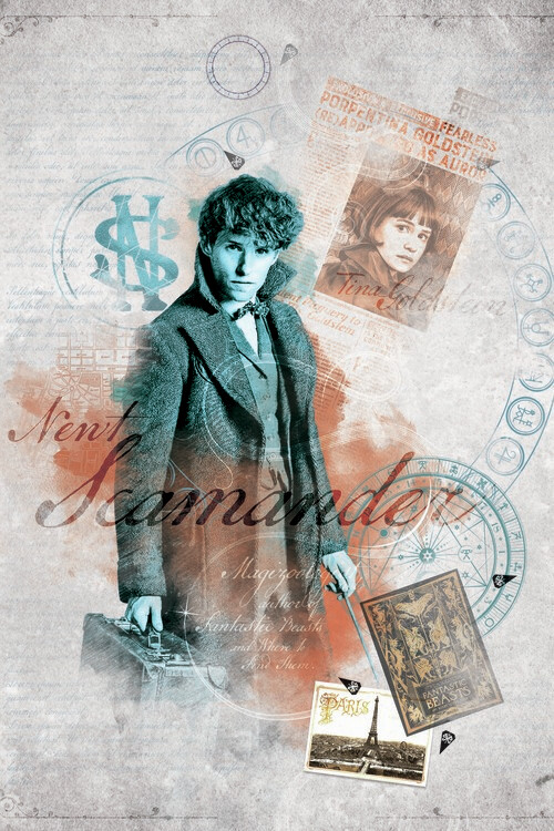 Fototapeta Fantastická zvířata - Mlok Scamander