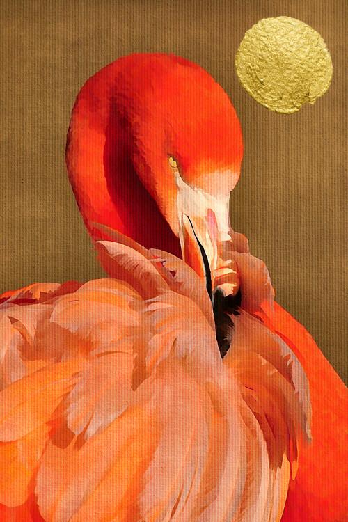 Fototapeta Flamingo With Golden Sun