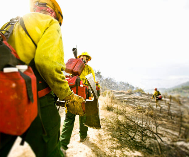 Fototapeta Forest firefighters walking with pickaxes, rear