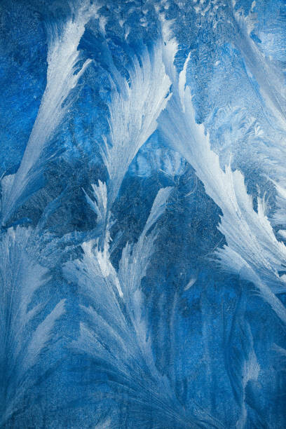 Fototapeta Frosty pattern on transparent background. Background