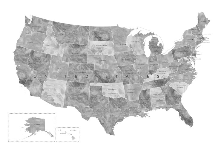 Fototapeta Gray watercolor map of the US with state capitals