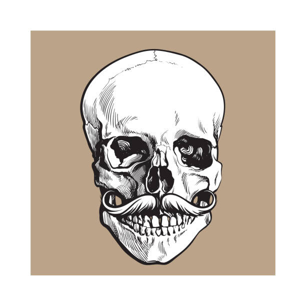 Fototapeta Hand drawn human skull with curled