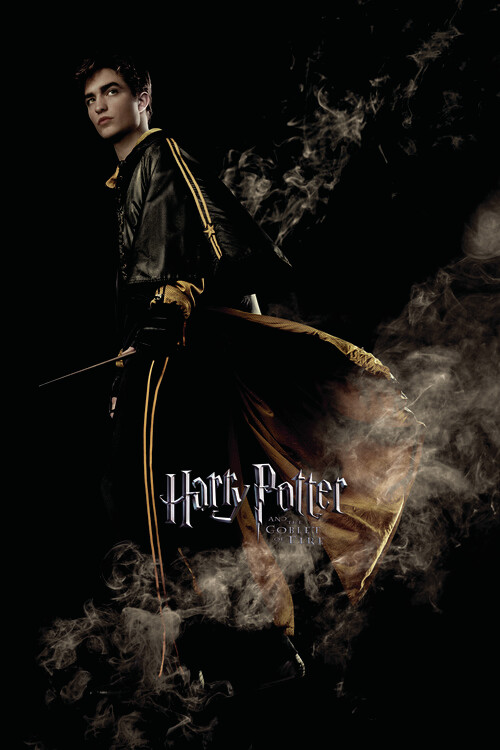 Fototapeta Harry Potter and the Goblet of Fire - Cedric